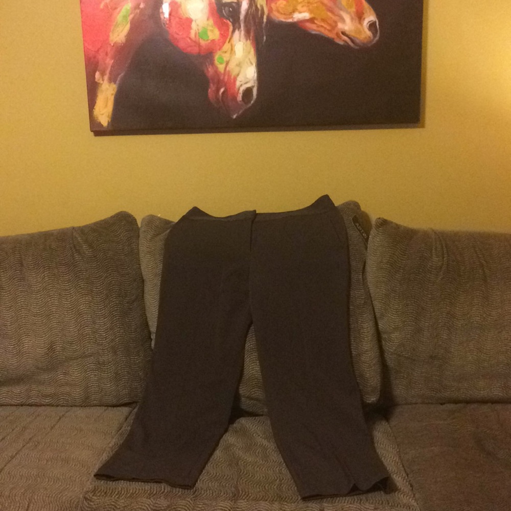 Apt 9 Brown Dress Pants. NWT!